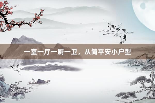一室一厅一厨一卫，从简平安小户型