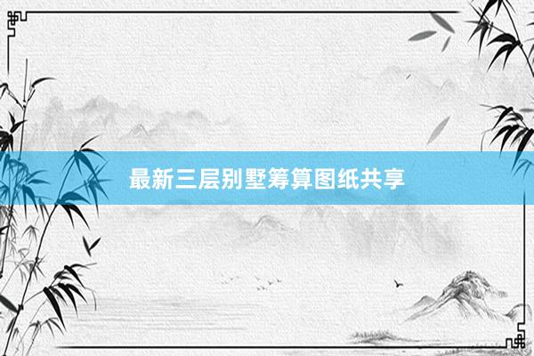 最新三层别墅筹算图纸共享