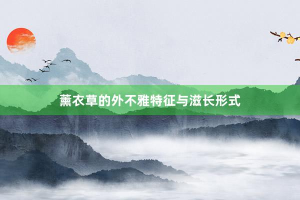 薰衣草的外不雅特征与滋长形式
