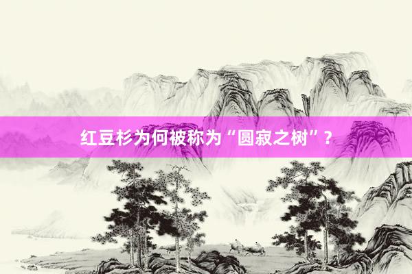 红豆杉为何被称为“圆寂之树”？