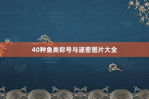 40种鱼类称号与邃密图片大全